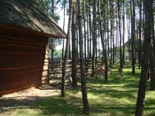 Kolonie fotorep. cz. 2